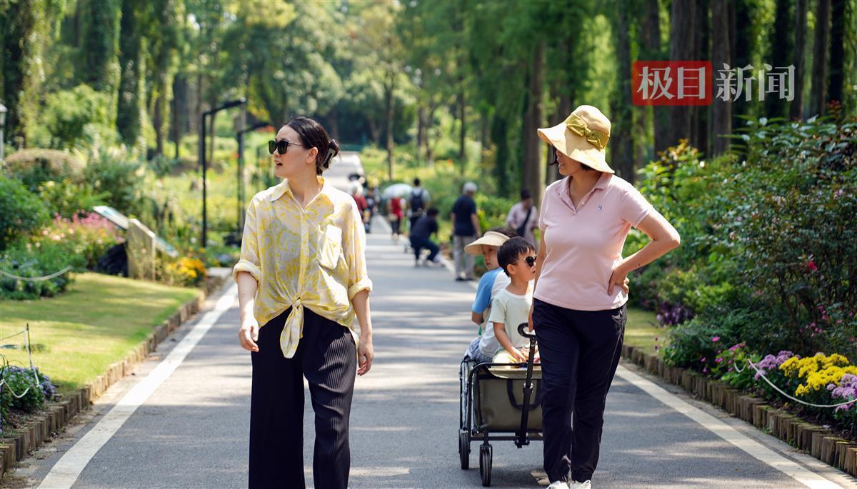 永盈会入口登录口
